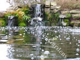Marlow Water Gardens .. Water Feature Maintenance